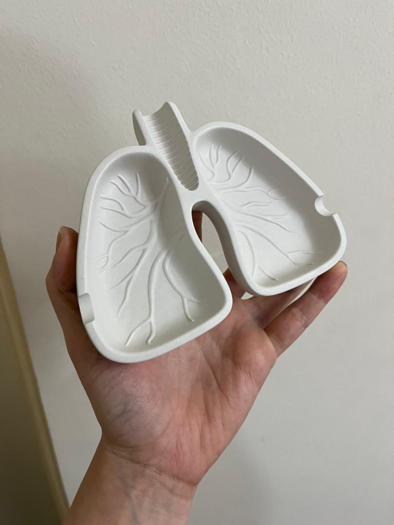 قالب سیلیکونی زیر سیگاری طرح ریه